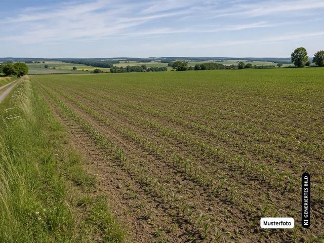 Villa Niederstetten Niederstetten 105740331