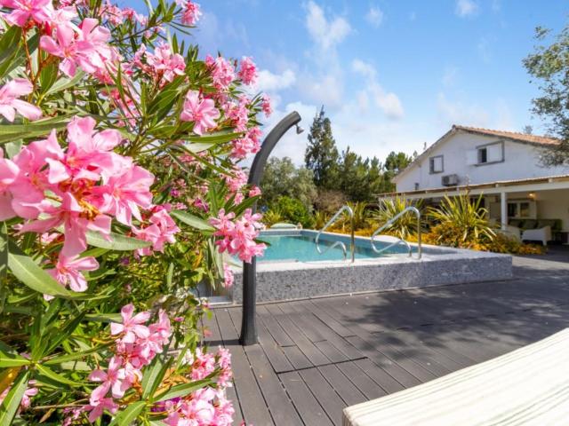 Refúgio privado em 4.000 m² de pinhal, entre a Comporta e Me. 230m² Melides