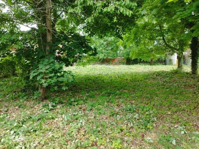 Villa Potsdam Potsdam 105975302