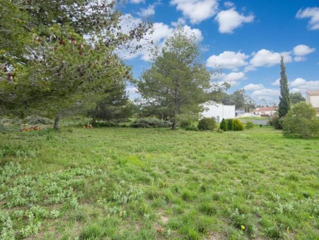 Maison plain pied avec terrain constructible 3000 m² – secteur Olonzac