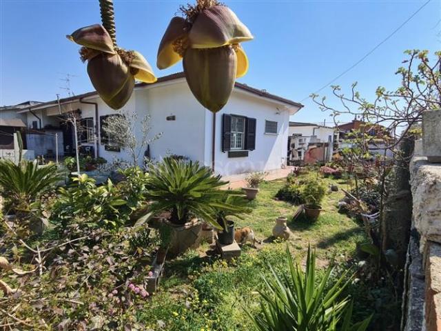 Villa Plurifamiliare di 120 mq a Lido dei Pini di Ardea, Lupetta, Colle Romito Ardea