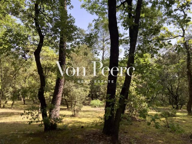 Villa provençale sur un terrain paysagé d’1 hectare, proche. 280m² Saint Laurent des Arbres