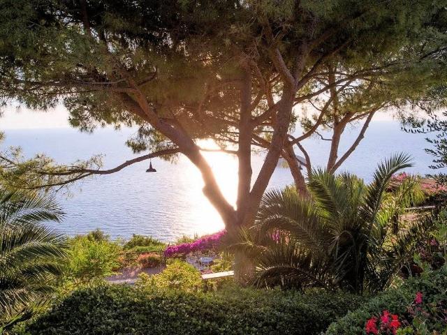 Villa prestigiosa con ampio parco piscina e vista mare in ve. 780m² Monte Argentario