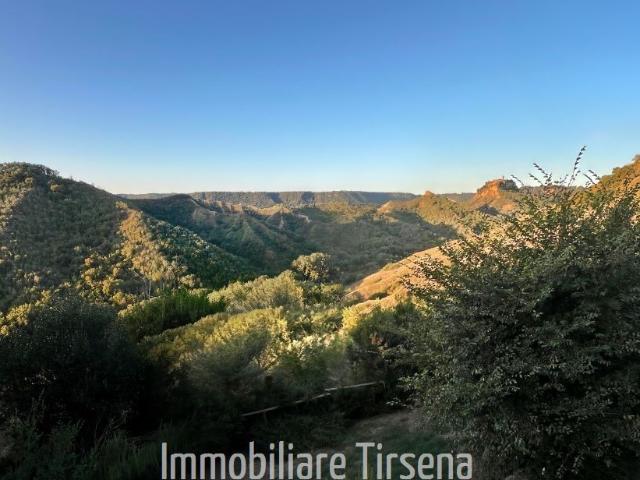 Villa ristrutturata a Lubriano