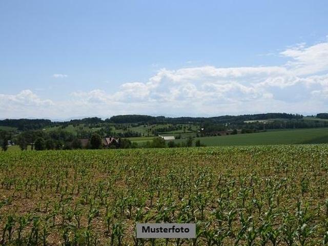 Villa Sachsenheim Sachsenheim 105458400
