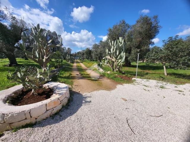 Villa singola in affitto