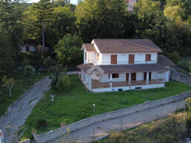 Villa singola in affitto