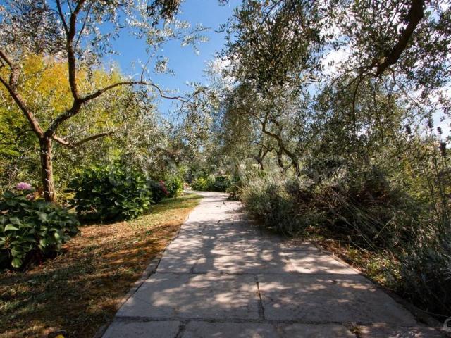 Villa singola in affitto a Vezzano Ligure via Cerretta Alta