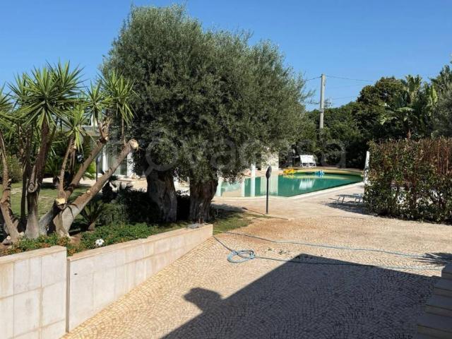 Villa singola in affitto a Fasano