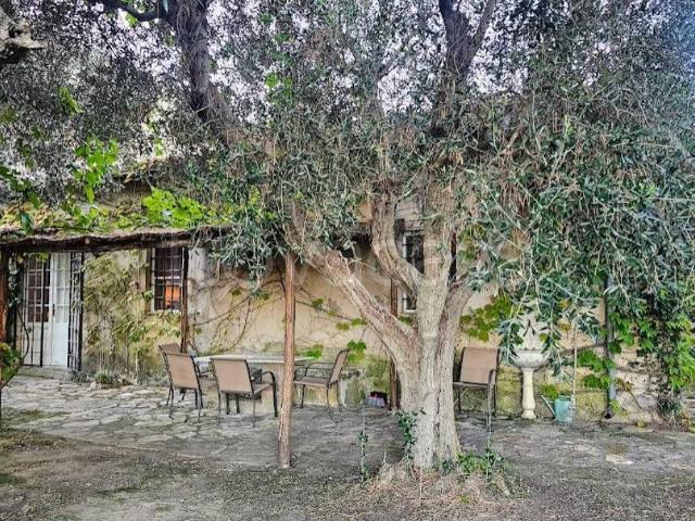 Villa singola in affitto a Pescia Fiorentina, Capalbio