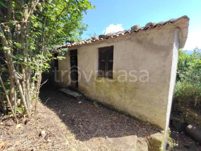 Villa singola in vendita a Tortorici
