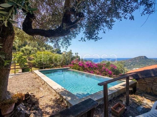 Villa singola in vendita a Vallebona strada Maciurina