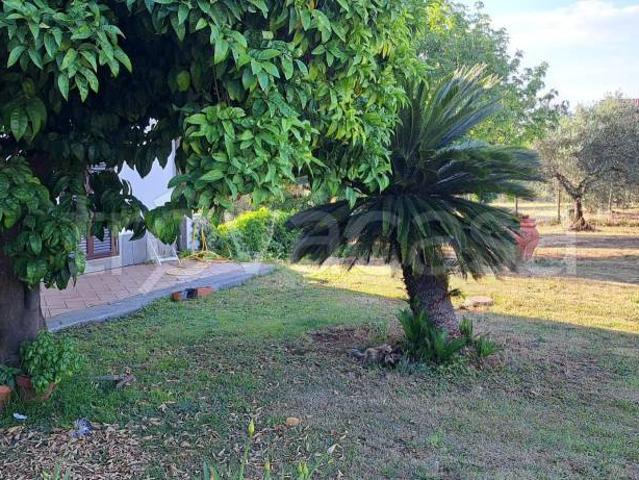 Villa singola in vendita a Velletri via Colle Rosso