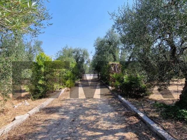 Villa singola in vendita a Vieste