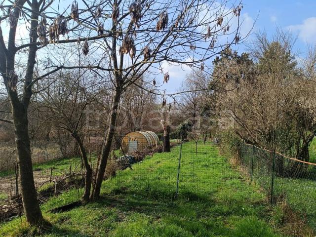 Villa singola in vendita a Biandronno viale Rimembranze