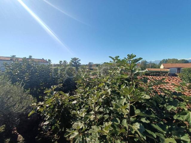 Villa singola in vendita a Ciconio piazza del Torchio, 7