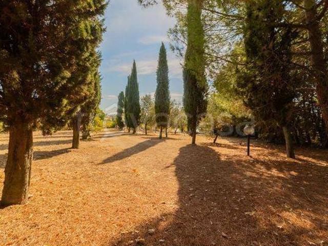 Villa singola in vendita a Città Sant'Angelo via Tavolato