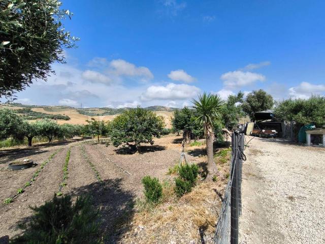 Villa singola in vendita a Civitavecchia strada della Ficoncella