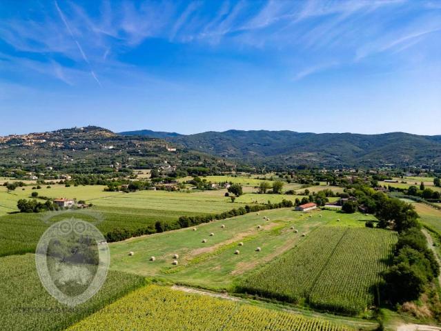 Villa singola in vendita a Cortona