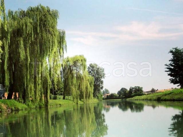 Villa singola in vendita a Fiesso d'Artico via Riviera del Brenta