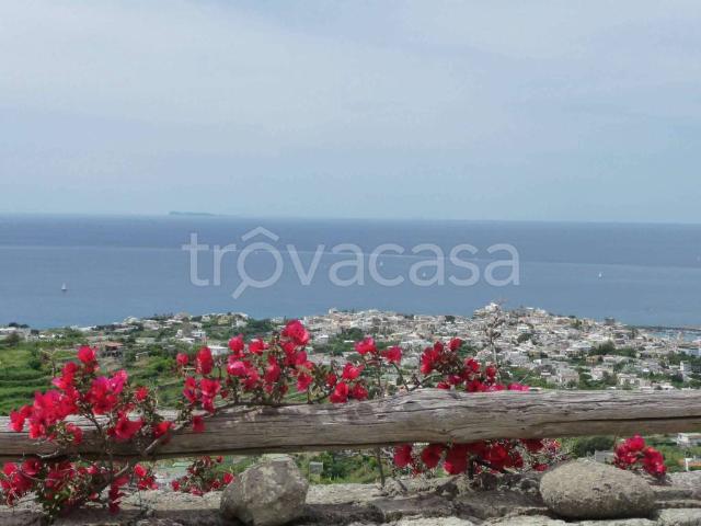 Villa singola in vendita a Forio via Pietra