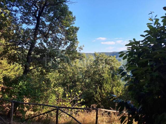 Villa singola in vendita a Londa via della Mugnaina
