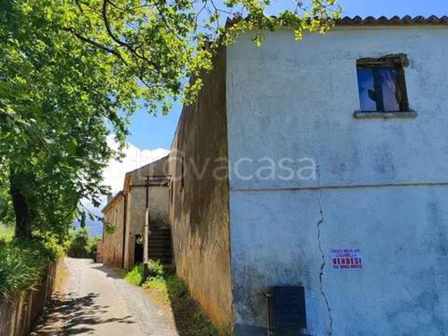 Villa singola in vendita a Maierà