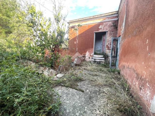 Villa singola in vendita a Minervino Murge