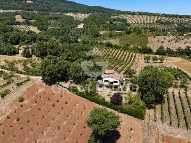 Villa singola in vendita a Montecchio via della torre errighi