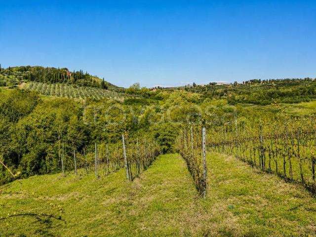 Villa singola in vendita a Montespertoli