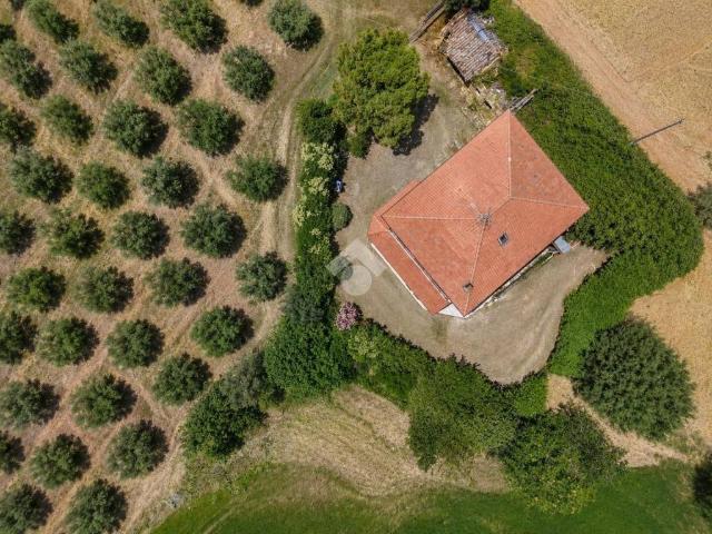 Villa singola in vendita a Mosciano Sant'Angelo
