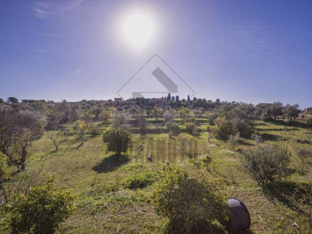 Villa singola in vendita a Noto
