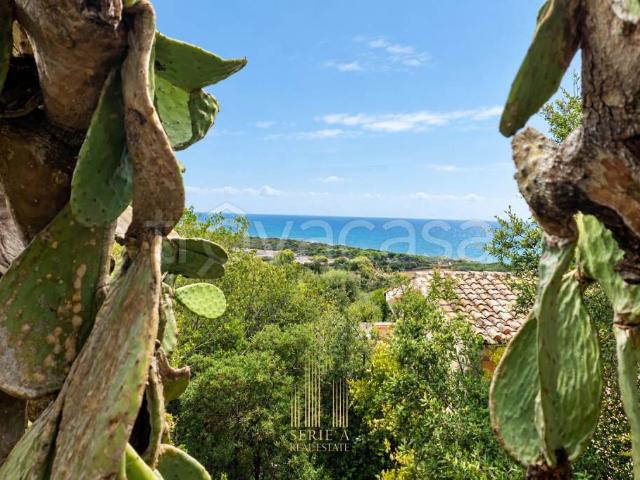 Villa singola in vendita a Orbetello via dei Ciclamini, Ansedonia