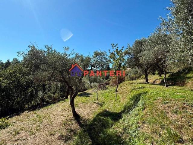Villa singola in vendita a Pescia via del Tamburo