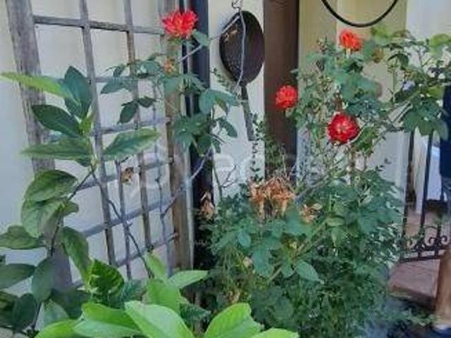 Villa singola in vendita a Pianoro, Livergnano