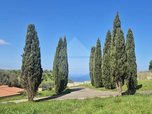 Villa singola in vendita a Pizzo