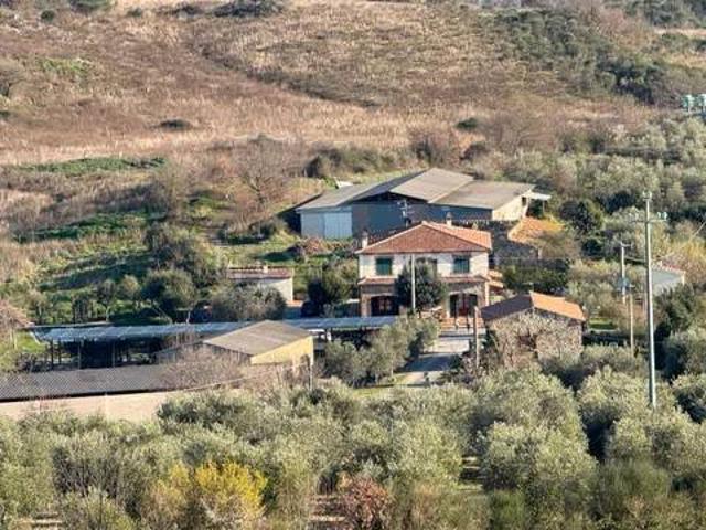 Villa singola in vendita a Scansano