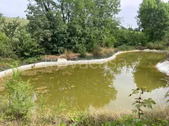 Villa singola in vendita a Savignano sul Panaro via Mombrina, 21