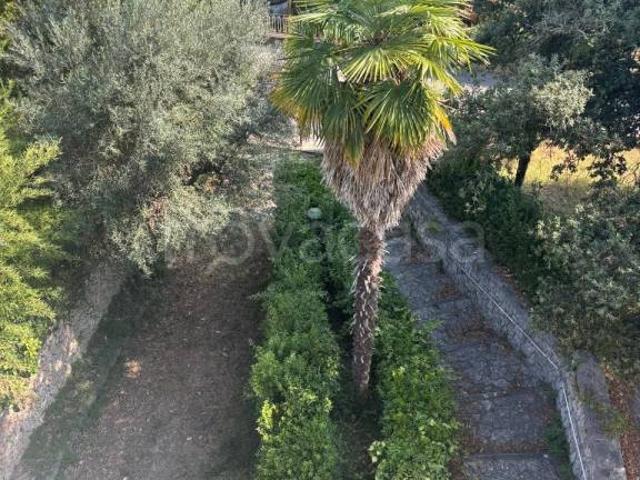 Villa singola in vendita a Penna in Teverina via Roma