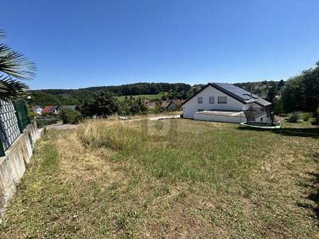 Villa Spechbach Spechbach 105716770