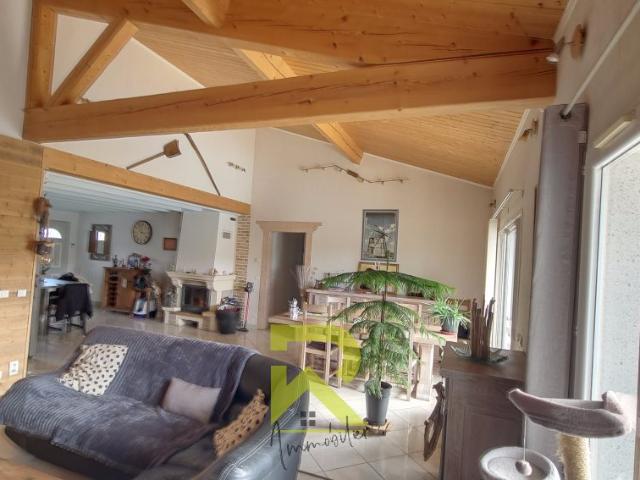 Villasavary A Vendre Maison individuelle de 120 m2 sur ter. 120m² Villasavary