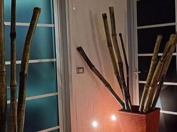 Villasor elegante appartamento arredato