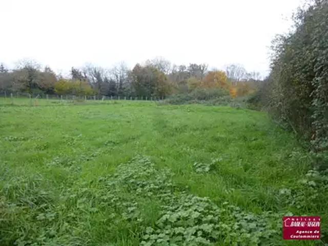 Villeneuve sur Bellot 77510 Programme neuf maison neuf à vendre 5 pièces