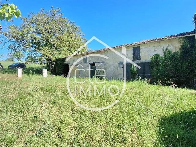 Villefranche de Lonchat: Proprieté avec Maison de Maitre +. 271m² Villefranche de Lonchat