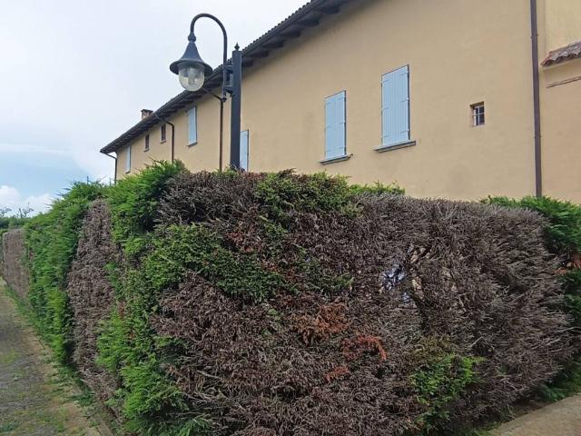 Villetta a schiera in affitto a Ozzano dell'Emilia BO