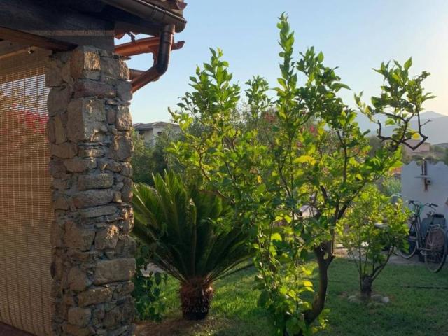 Villetta a schiera in affitto a San Teodoro OT