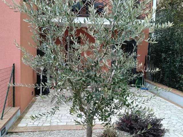 Villetta a schiera in affitto di 55 m² in Via del Mattatoio