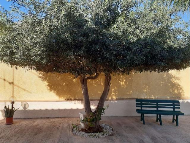 Villetta a schiera in affitto di 55 m²