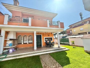 Lido Dei Pini, Latina Lazio