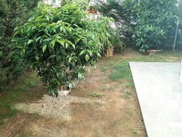 Villetta a schiera in vendita a Massa MS